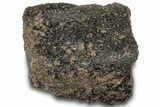 Rare, Fusion Crusted Martian Meteorite ( g) - NWA #308457-1